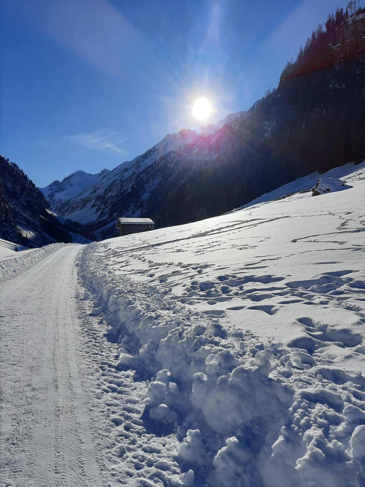 Apart Alexandra Lägenhet Strass im Zillertal Rum bild